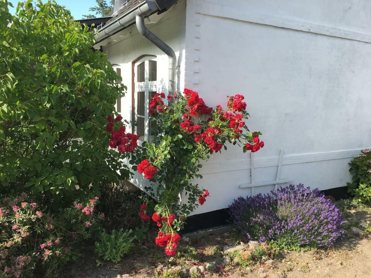 Kleines Bauernhaus Hotel Mogeltonder Buitenkant foto